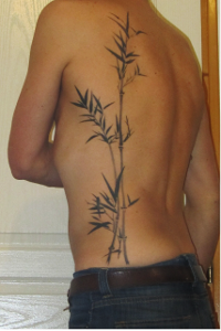  bamboo tattoo